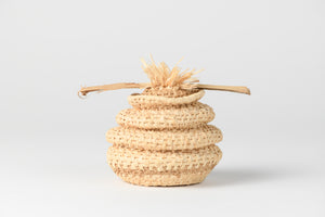James Ebbert Sydney Basket