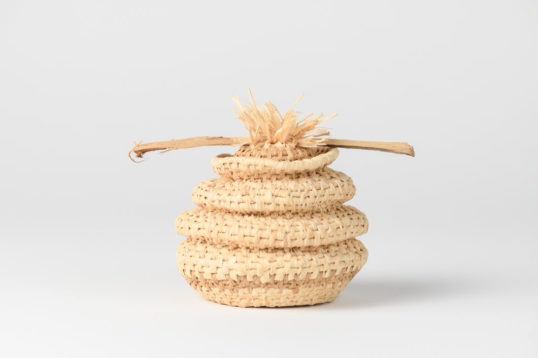 James Ebbert Sydney Basket