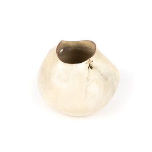 Christian Burchard Bleached Root Vessel